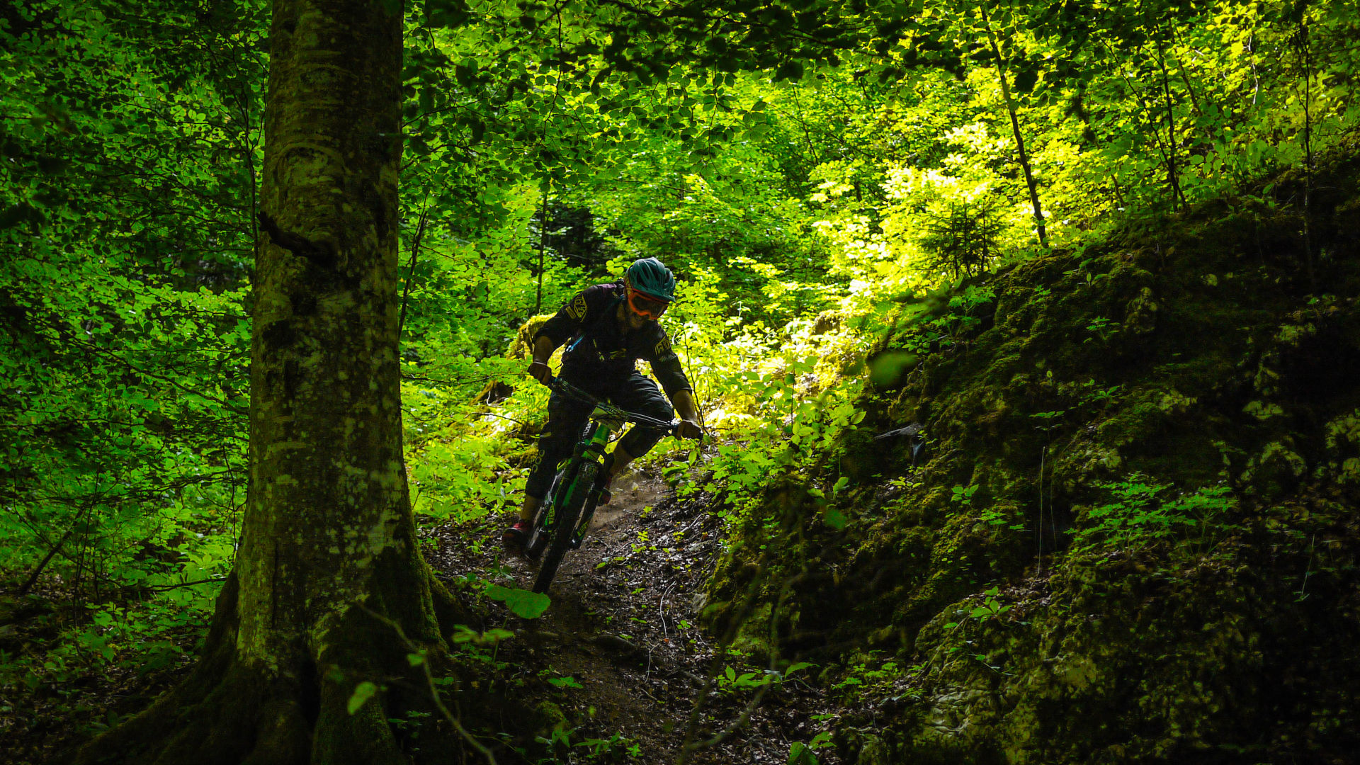 Giant Bikingtest, bike test bikingspots 2017 Giant Bikingtest, bike test bikingspots 2017