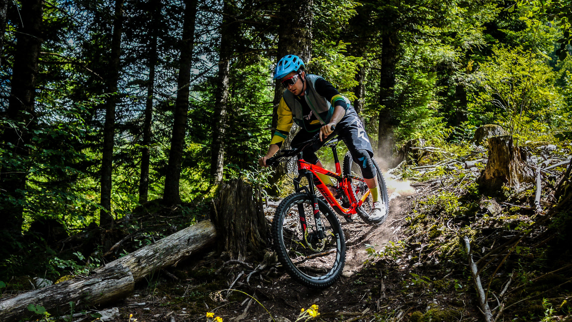 Giant Bikingtest, bike test bikingspots 2017 Giant Bikingtest, bike test bikingspots 2017