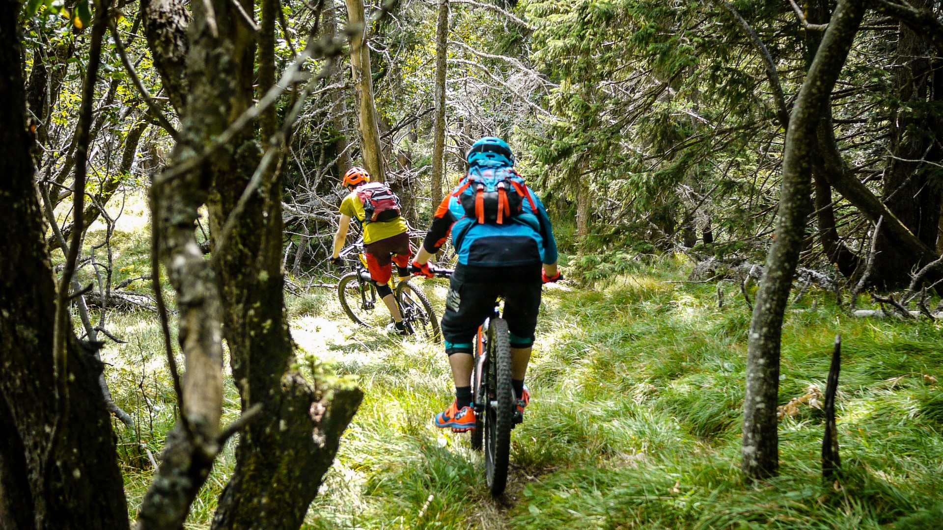 Jura Shuttle Day, journée shuttle dans le Jura Vaudois avec OnCar.ch Jura Shuttle Day, journée shuttle dans le Jura Vaudois avec OnCar.ch